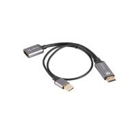 Lanberg AD-HD-DP-02 câble vidéo et adaptateur 0,2 m HDMI Type A (Standard) DisplayPort Argent
