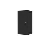 Lanberg Rack mural WF10-2312-00B 10" 12U 280x310 Porte métallique Noir Capacité 20 kg
