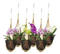 Lanccona Lot de 6 Pots de Fleurs à Suspendre pour orchidée de 12,7 cm avec Crochets de Style nid d'oiseau, Panier à orchidée tissé Fait à la Main en Bambou thaïlandais pour Treillis, tonnelle,