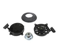 Lanceur BRIGGS ET STRATTON 493295 - 497598