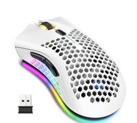 Lancoon Souris sans fil rechargeable avec coque creuse en nid d'abeille, éclairage coloré, capteur optique, 3 DPI réglables, clic silencieux, pour gamer, ordinateur, bureau (blanc)