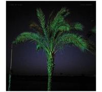 Land Of Kush – Sand Enigma – CD