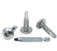 LandCamp Lot de 250 vis à tôle autotaraudeuses de 1,9 cm, embout de tête DBL SQ #2 inclus, vis autotaraudeuses pour remorques de chargement, fixations extérieures de véhicule récréatif, vis de