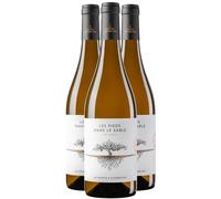 Landes Les Pieds dans le Sable - Blanc 2024 - Domaine de la Pointe - Vin Blanc du Sud-Ouest (3x75cl)