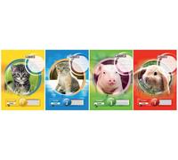 Landré Cahier Au Format A4, Linéature 2 / Ligné, 16 Feuiles