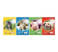 Landré cahier au format a4, linéature 2 ligné, 16 feuiles 310401602 G