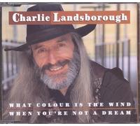 Landsborough, Charlie - What Colour Is the