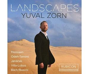 Landscapes: Yuval Zorn
