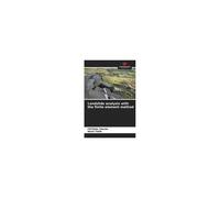 Landslide Analysis With The Finite Element Method