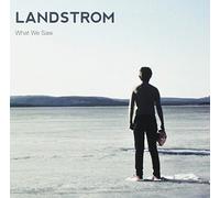Landstrom - What We Saw
