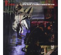 Landstrumm, Neil - She Took a Bullet for Me