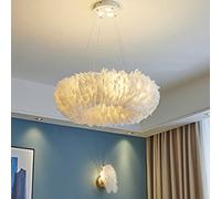 Lanekd Lustre Salle a Manger Plumes Blanches Salon Chambre Lampes Suspension Restaurant Décor Lampe Chevet Suspendues Luminaire Forme Sphère Design Cadeau D'enfant Blanc Plafonniers (Blanche)