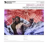 Laner,Brad - Micro-awakenings