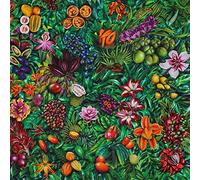 Roberto Laneri - South of No Border