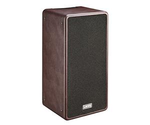 Laney A Series A-DUO - Acoustic Instrument Combo Amplifier - 120W - 2 x 8 inch Coaxial Woofers