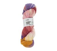 Lang Yarns ALPACA SOXX 4-FILS TEINT À LA MAIN 1
