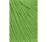 Lang Yarns Carpe Diem 714.0116 - Vert clair