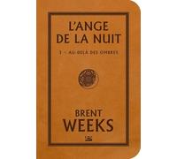 L'ange de la nuit, tome 3 : Au-delà des ombres