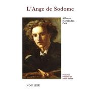 L'ange de Sodome - Alfonso Hernández Catá - Non Lieu - broché - Roman