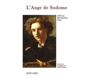 L'ange de Sodome - Alfonso Hernández Catá - Non Lieu - broché - Roman