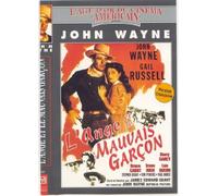 L'Ange et le mauvais garçon