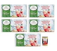 L'Angelica Tisana Sgonfiante Digestiva Lot de 5 tisanes froides au goût de fraises combinées aux notes d'agrumes de citron 18 filtres + boîte italienne Gourmet Polpa di Pomodoro 400 g