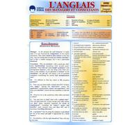 L'anglais Des Managers Et Consultants - Marketing, Ressources Humaines, Comptabilité, Finance