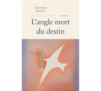 L'angle mort du destin Antoine Rault (Auteur)