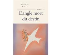 L'angle mort du destin - Antoine Rault - Fayard - broché - Roman
