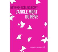 L'Angle mort du rêve - Noël Nétonon Ndjékéry - La Contre Allee - broché - Roman