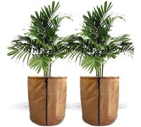 LangRay Lot de 2 protections thermiques pour plantes d'hiver, 45 x 50 cm, protection hivernale pour plantes en pot, protection contre le gel, pour olivier, pots de plantes d'extérieur