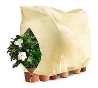 LangRay Voile Hivernage Plante, Housse d'hivernage pour Plantes Exterieur 80g/㎡ avec Fermeture éclair et Cordon de Serrage Bâche Housses de Protection pour Palmiers Olivier (Blanc cassé, 200x240 1pc)