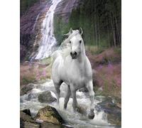 Langrish, Bob - Mini-Poster - Cheval blanc