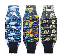 Langsprit Lot de 3 Bandes ventrales pour Chiens mâles, Haute Absorption, lavables, Couches réutilisables pour Chien mâle (Paresseux, Baleine, Dinosaure, Taille XL)