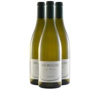 Languedoc Les Mûriers - Blanc 2024 - Mas Bruguière - Vin Blanc du Languedoc - Roussillon (3x75 IO