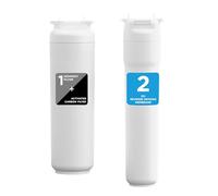 LANGWATER Jeu de filtres de rechange pour le Purificateur d'Eau TheWell 2. Filtre 1 Sédiments combiné avec Charbon Actif, Filtre 2 Osmose Inverse Certifiée NSF 58 - Anti-tartre - Installation Facile