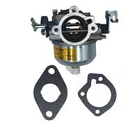 Lanigram Carburateur 146-0456 pour générateur Onan 141-0929, 146-0444 RV 40006500 W avec joints