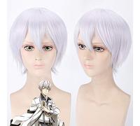 L'animation Shimotsuki Shun Cosplay perruques 40 cm court bouclés argent pour homme garçon Anime universel résistant à la chaleur cheveux synthétiques Wi