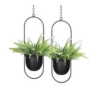 Lanlousy Lot de 2 pots de fleurs à suspendre pour plantes d'intérieur et d'extérieur avec 6 pots de support pour plantes à suspendre