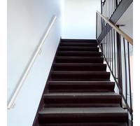 Lanmmraifc Rampe d'escalier Moderne à Fixation Murale, Rampe de sécurité en métal galvanisé pour marches intérieures et extérieures, kit Complet de 30 à 600 cm(300cm)