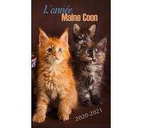 L'année Maine Coon 2020-2021: Agenda scolaire des étudiants Collège et Lycée | Journalier et semainier Août 2020 à Août 2021 | 130 pages d'organisations