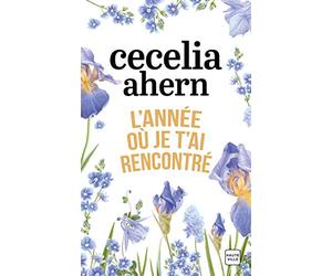L'année où je t'ai rencontré