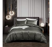 Lanqinglv Luxe Housse de Couette Satin 220 x 240 cm Gris Rayures avec 2 Taies d'oreiller 65x65cm Parure de Lit Adulte Ado 2 Personnes Linge de Lit Satin de Soie Soyeux Brillante avec Fermeture Éclair