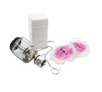 Lanterne à Propane de Camping Portable avec Allumage Intégré | Lumière D'ambiance Chaude, Usage Suspendu, Coffret de Rangement, Deux Abat-jour, pour Kits D'urgence