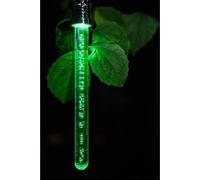 Lanterne Bâton Solaire - GARDEN ID Cristal - 22 cm - Couleur changeante - Autonomie 6-8h - Pile rechargeable.
