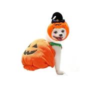 Lanterne citrouille d'Halloween pour chien, chat à deux pattes - Chapeau citrouille mignon - Veste pour chien (taille M)