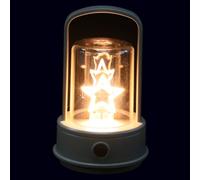 Lanterne de Camping LED Rechargeable Portable Poignée Robuste et Crochet | Boîtier ABS et Ps Résistant aux Chocs, Batterie Intégrée, Lumière Vert Clair, pour Tentes, Bivouacs et Stands Nocturnes