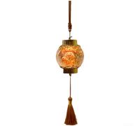 Lanterne festive remplie d'eau avec lumières LED lumineuses pour décoration d'intérieur à suspendre avec motifs traditionnels chinois porte-bonheur et richesse (E)