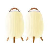 Lanterne nomade musicale EZIlight® Ambiant XL - Pack de 2 lampes