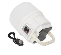 Lanterne solaire de camping LED 4 modes avec crochet (blanc C51)